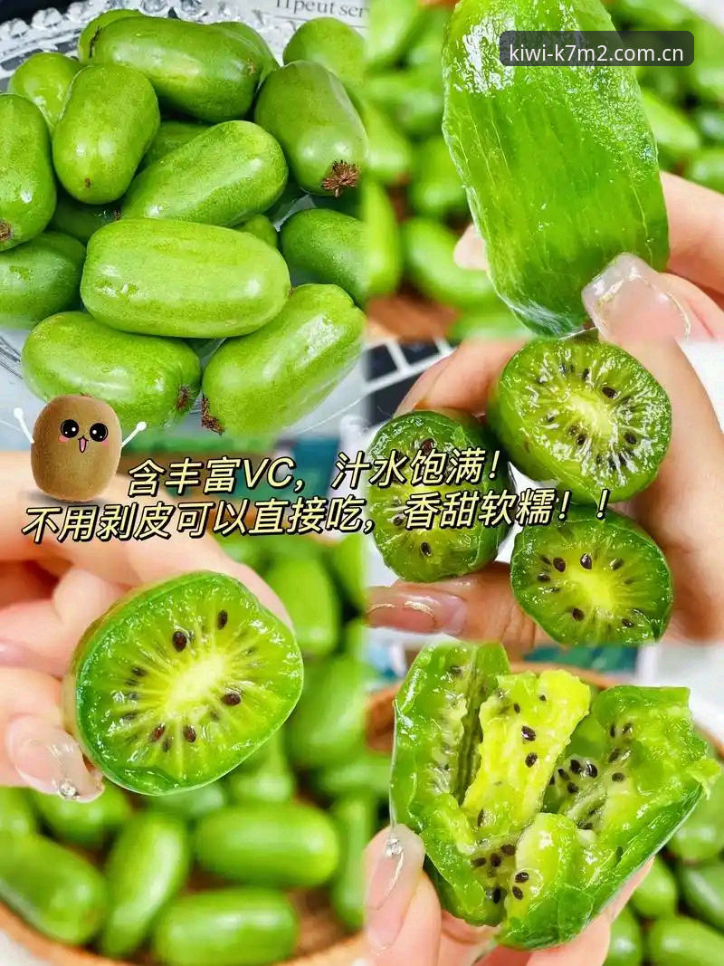 奇异果体育官网新手使用指南：奇异果登录与平台注册完整教程